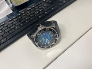 CS1996/2025 ICE WATCH